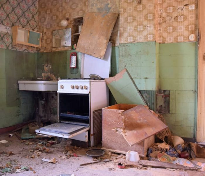 Devastated Kitchen In A Demolition House